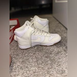 Nike dunk high tops